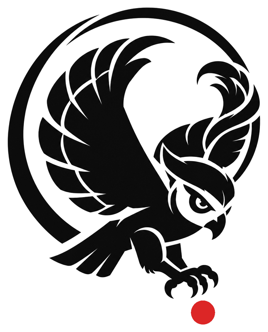SJDevelopment owl logo